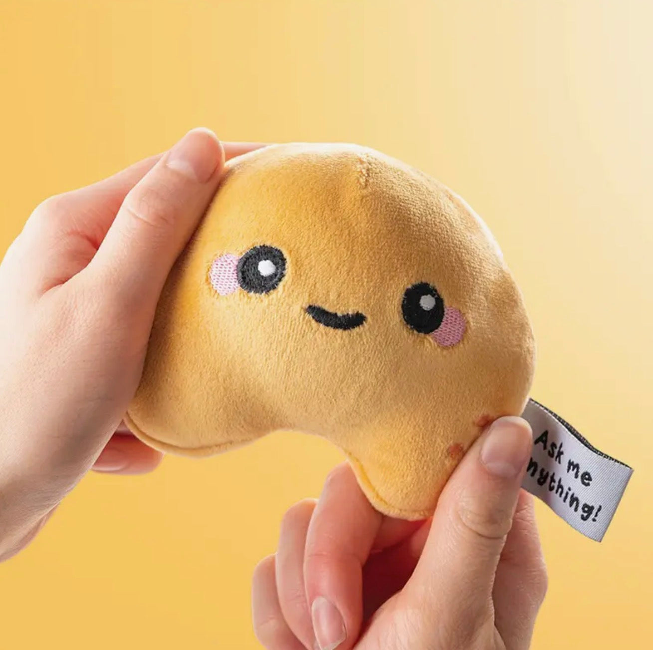 Fortune Squeezie