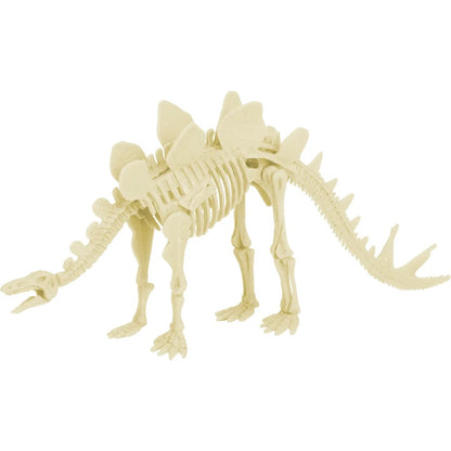 Paleontolog kit - Stegosaurus