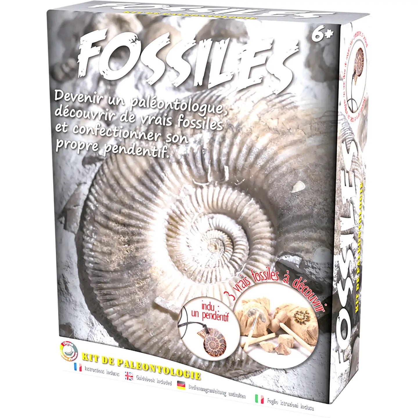 Paleontolog kit - Fossil