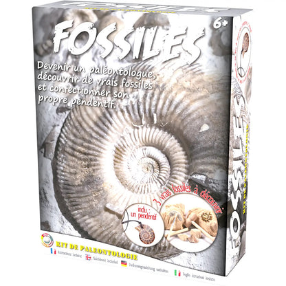Paleontolog kit - Fossil