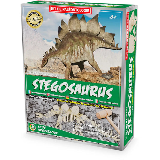 Paleontolog kit - Stegosaurus
