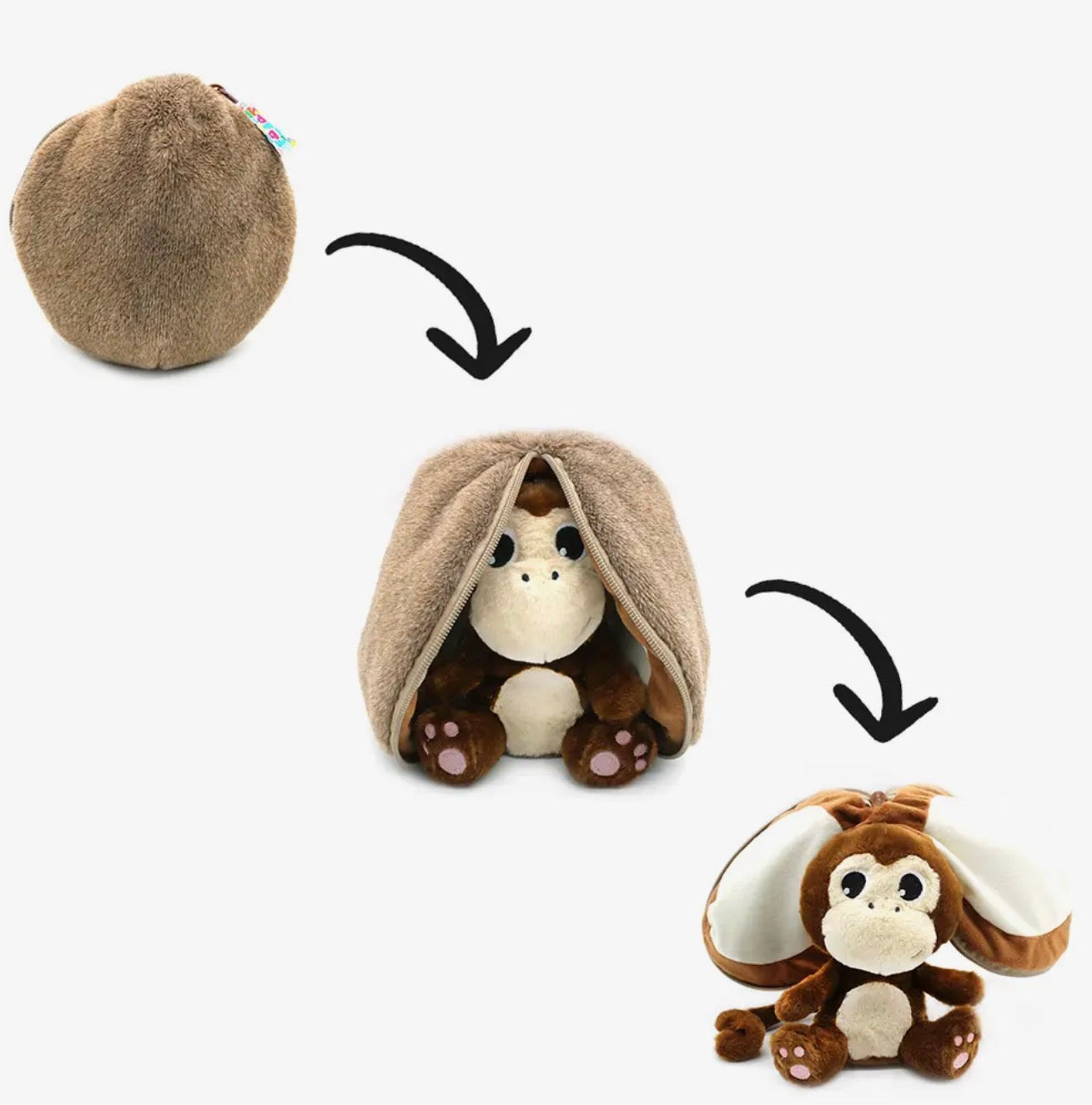 Apa i kokosnöt