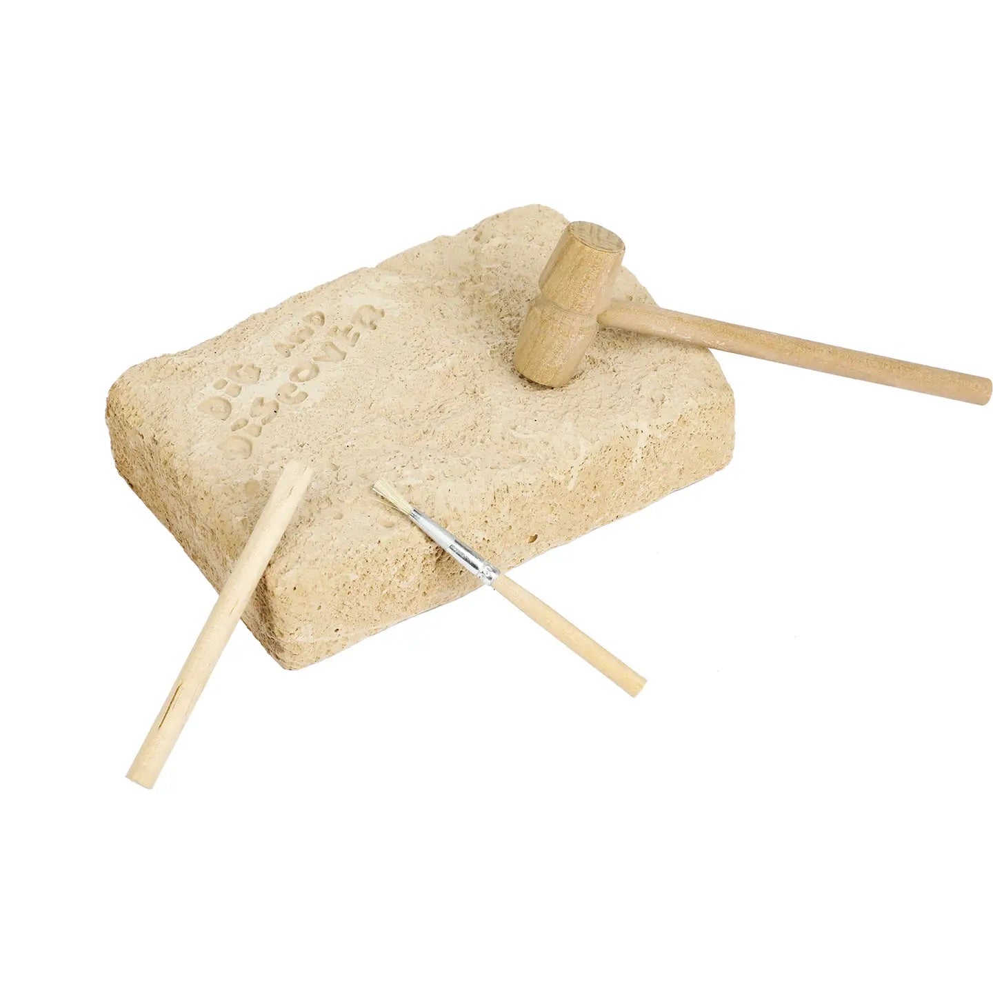 Paleontolog kit - Triceratops