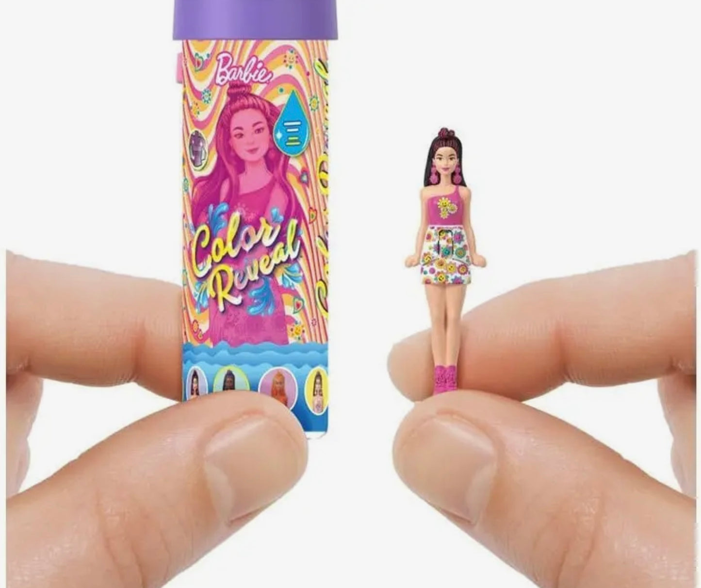 Mini Barbie Land - Color reveal