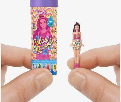 Mini Barbie Land - Color reveal