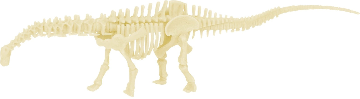 Paleontolog kit - Diplodocus