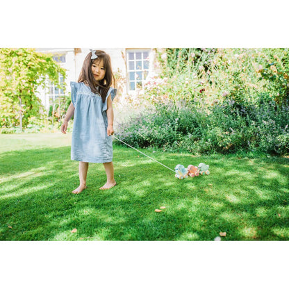 Dragleksak - Fåglar på hjul