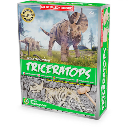 Paleontolog kit - Triceratops