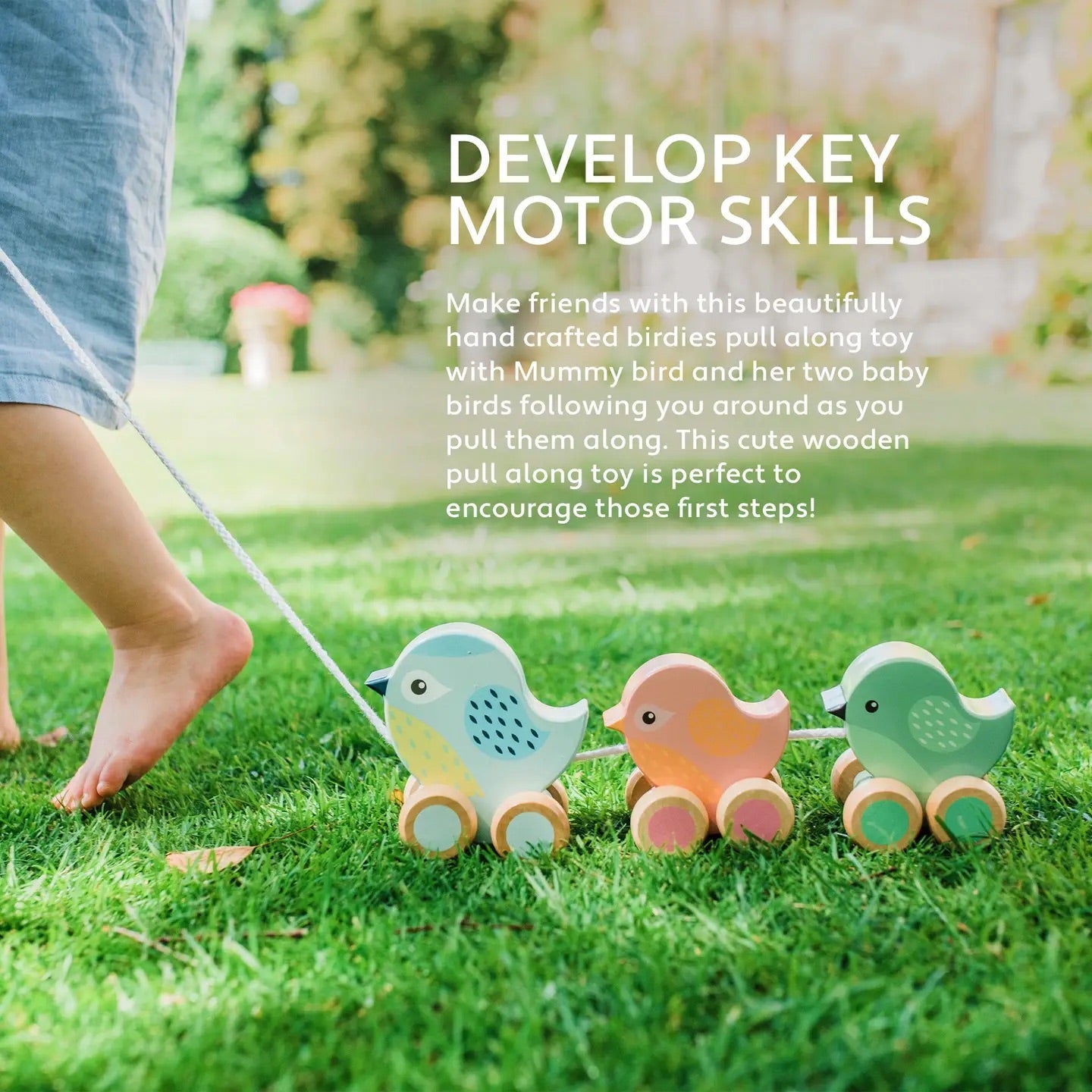 Dragleksak - Fåglar på hjul