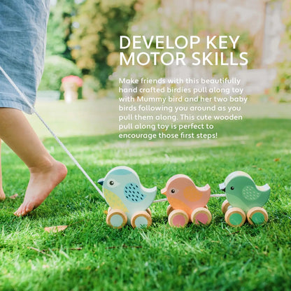 Dragleksak - Fåglar på hjul