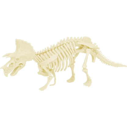 Paleontolog kit - Triceratops